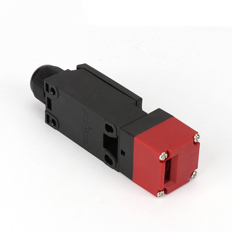 D4NS電磁鎖定安全門開關(guān)